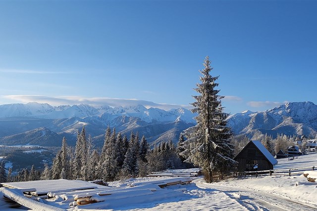 Apartamenty SOSNA - Zakopane